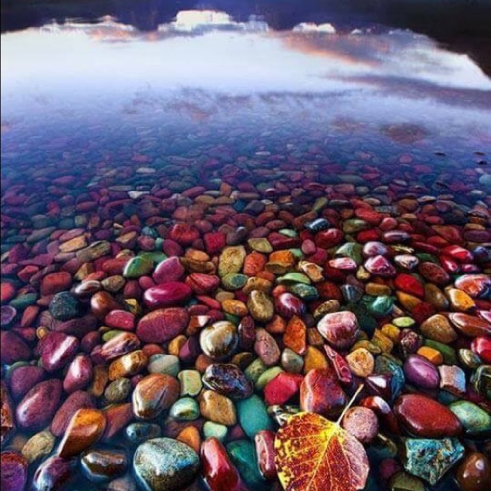 Meet your Posher, Ingrid